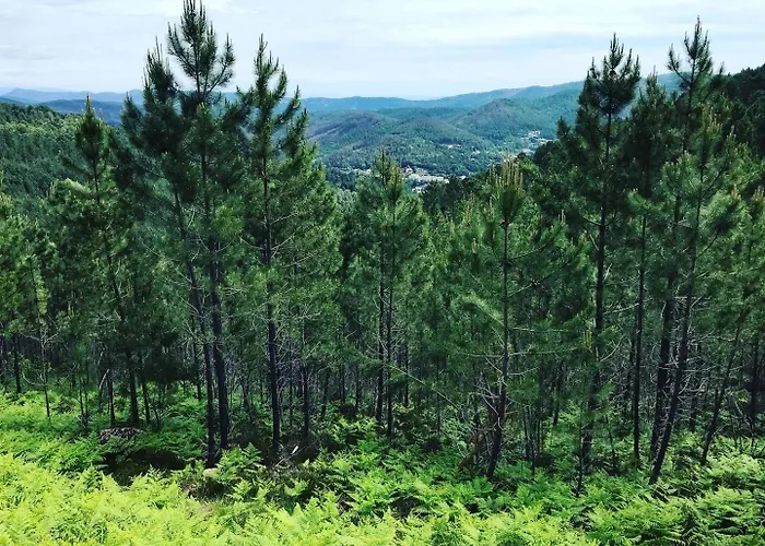 Detente Au Coeur Des Cevennes
