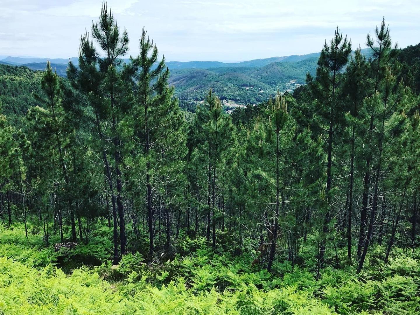 Detente Au Coeur Des Cevennes * Besseges